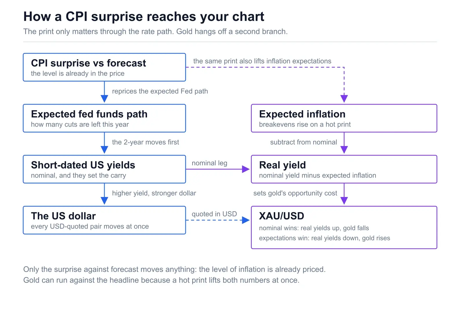 Labelled flow diagram: a CPI surprise versus forecast reprices the expected fed funds path, which moves short-dated US yields, which move the US dollar. A dashed branch runs from the same print to expected inflation, which is subtracted from nominal yields to give the real yield that sets gold's opportunity cost and decides whether XAU/USD falls or rises.